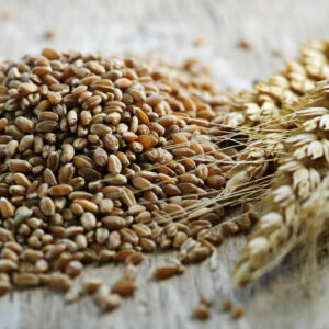 Psoriasis – Symptoms, Food choices, and Remedies